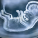 Image for article titled Doctor Proposes Brilliant Solution to Sex-Selective Abortion: Don't Tell Women the Truth
